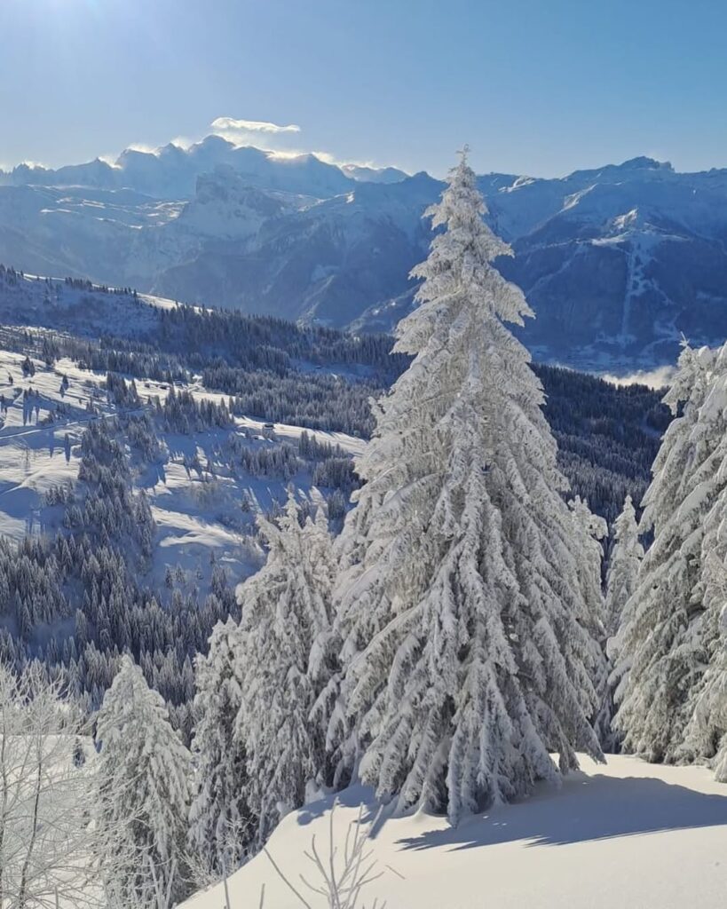 A panoramic view of Morzine travel guide and weed laws, with its charming chalets and snow-capped mountains in the background.