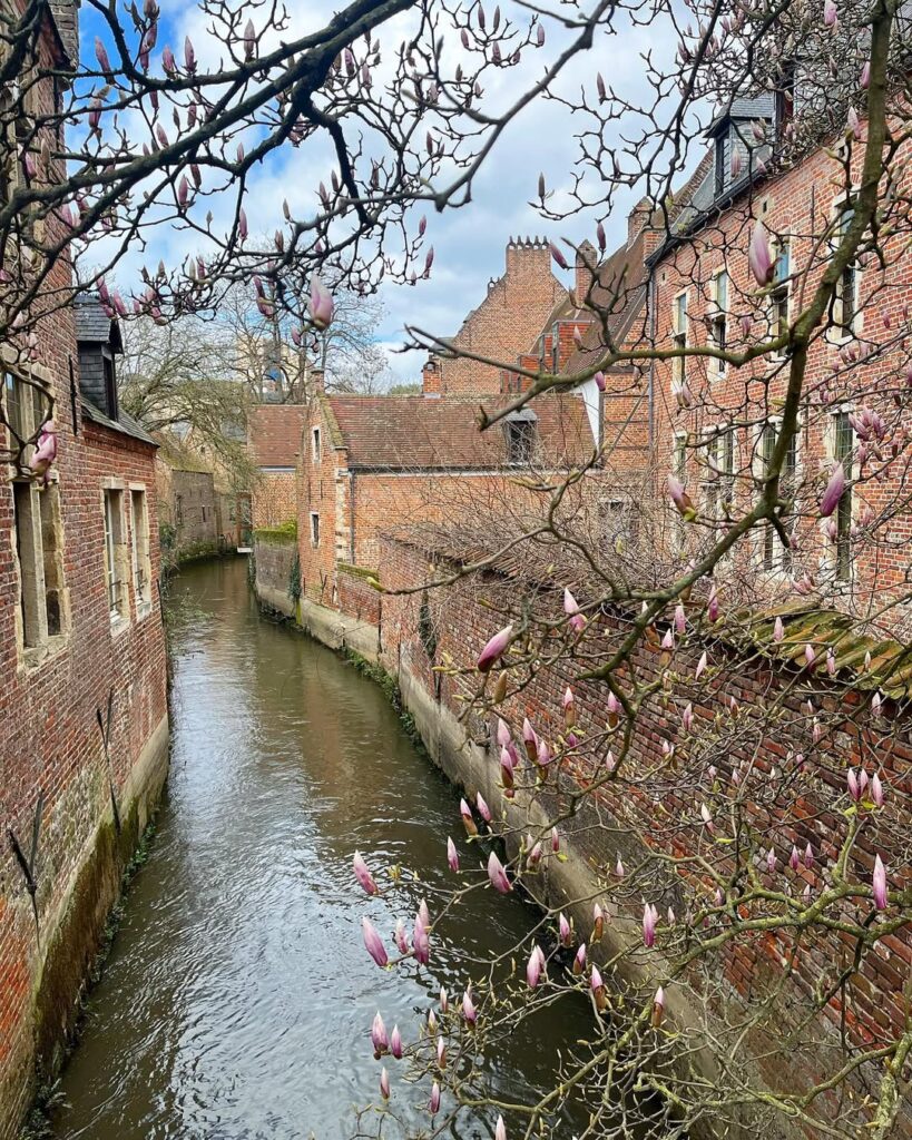 Groot Begijnhof Walkway Leuven Travel Guide and Weed Laws