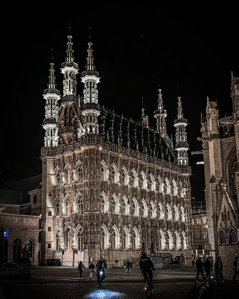 Leuven Town Hall at Night travel guide and weed laws