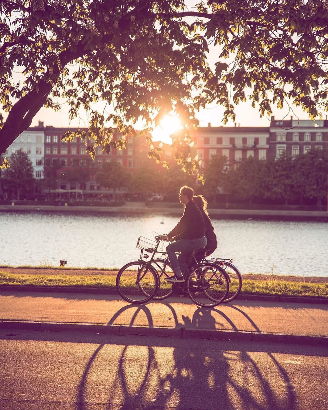 Read more about the article Exploring Copenhagen’s Culture, Life, Food, and Weed in Copenhagen